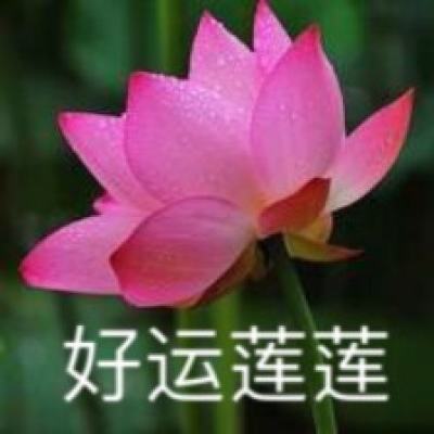 中国代表团：对少数国家在世卫大会就台湾问题发表错误言论表示严正抗议